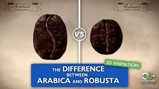 The differences between Arabica and Robusta coffee [upl. by Nnylyahs161]