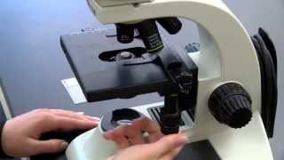 BIOLOGY 10  Basic Microscope Setup and Use [upl. by Nolitta]