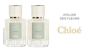 Chloe Atelier des Fleurs Violette Santalum Editions [upl. by Ball287]