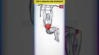 Hanging abs workout fitness shorts exercise video fitnessworkout [upl. by Noirrad]