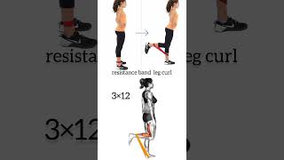 How to do resistance band leg curl motivation bodybuilding shortsfeed fitness personaltrainer [upl. by Anima]