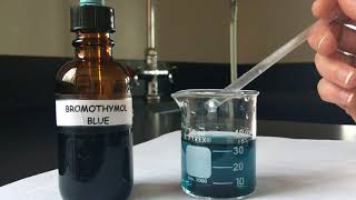 What Happen if Bromothymol Blue Respiratory Physiology [upl. by Dnalevelc821]