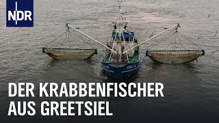 Knochenjob auf dem Krabbenkutter  Die Nordreportage  NDR Doku [upl. by Surtimed921]