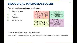 Chapter 3  Biological Macromolecules [upl. by Thorpe]