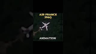 Plane Crash Animation Vs Real Life Footage part 2 Five more nights shorts aviation [upl. by Akinahs]