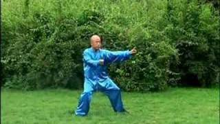 Hun Yuan Tai Chi 24 Forms hunyuan [upl. by Khalil]