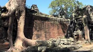 Visiting Preah Khan Temple in Angkor Archeological Complex Cambodia [upl. by Adelaide748]