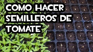 Como hacer Semilleros de Tomate  Muy fácil 🍅 [upl. by Aneroc93]