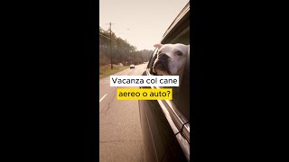 Vacanza col cane Meglio aereo o auto [upl. by Ahsyat710]