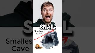 🐌 vs 🐆 – Epic Cave Race Who Wins [upl. by Essenaj]