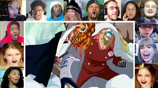 Shanks stops the war Reaction Mashup  One Piece episode 488 Reaction Mashup [upl. by Beberg]