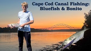 Cape Cod Canal Fishing Bluefish amp Bonito [upl. by Ainnek69]