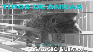 Ondas tipos  Biofísica CBC amp UBA XXI [upl. by Sivle719]