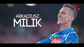 Arkadiusz Milik  THE REBIRTH  Goals Skills amp Assists SSC Napoli 201819 HD [upl. by Akerdnuhs]