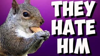 NY Government Plays VICTIM Woke media SMEARS Peanut The Squirrel as evil RightWing champion [upl. by Nabila566]