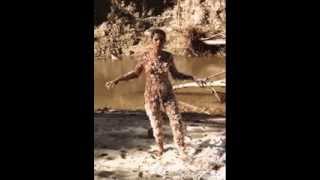 9 ANA MENDIETA UNTITLED BLOOD AND FEATHERS 1974 [upl. by Allimac]