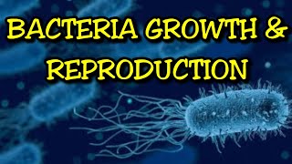 Understanding the Growth amp Reproduction of Bacteria [upl. by Ellenohs]