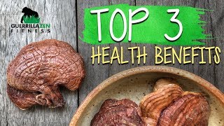 TOP 3 Health Benefits of Reishi Mushroom [upl. by Gerlac]