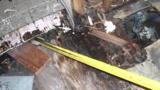 Incredible Bathroom Wood Floor Damage  Dont Leave Water on Your Floors [upl. by Eicnahc]