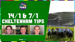 OFF THE FENCE  141 amp 71 CHELTENHAM PICKS ALLEGORIE DE VASSY  FESTIVAL TRIALS DAY PREVIEW [upl. by Munford]