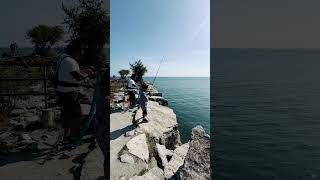 Fishing at Lakeshore ￼ Ontario [upl. by Petracca452]