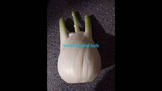 Venkel or fennel thoran thoranrecipe tastyrecipes shorts new belgium venkel villagecooking [upl. by Enaht]