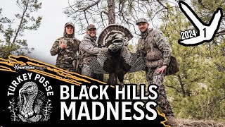 Merriams Turkey Hunt in the Black Hills  TURKEY POSSE 24 [upl. by Nivlam]