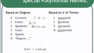 Polynomial Vocabulary [upl. by Attenyt]