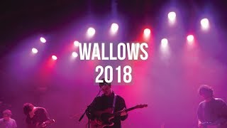 Wallows Concert 2018 Highlights  TORONTO [upl. by Myrilla]