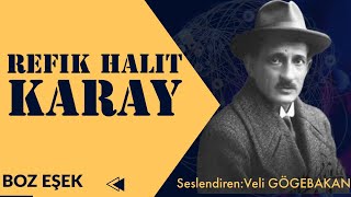 Refik Halit Karay  Boz Eşek Sesli Hikaye [upl. by Silyhp]