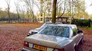 2x Mercedes 500E Autumn check [upl. by Raynold]