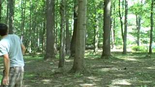 Patapsco Valley State Park Disc Golf  Mariottsville MD [upl. by Meerak]