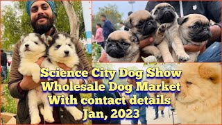 Wholesale Puppy Market in Punjab Jalandhar  Recent Prices  Science City Dog Show 2023  KCI  UKC [upl. by Penni]