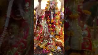 Navratri mein jaware ka mahatva [upl. by Melba]