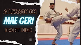 A lesson on Mae Geri  Front kick [upl. by Nnayt]