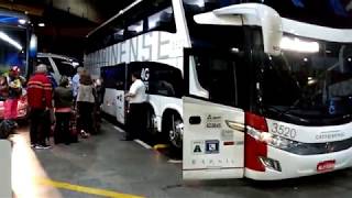 São Paulo x Balneário Camboriú  SC na Auto Viação Catarinense  SEMI LEITO E LEITO [upl. by Granville333]