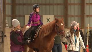 Hippotherapy Using Equine Movement in Clinical Practice Full Video [upl. by Ellennahs]