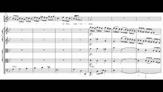 Händel HWV 2323 Tecum principium [upl. by Tnahsin]