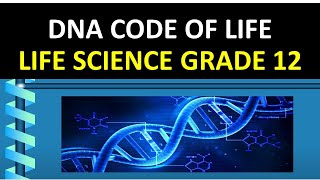 DNA CODE OF LIFE THUNDEREDUC BY BSAIDI [upl. by Chere]