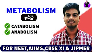 Metabolism and its Types in Tamil  Rajus Biology [upl. by Norrahs47]