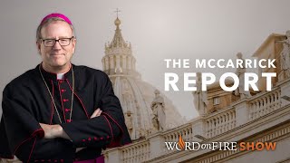 Bishop Barron on the “McCarrick Report” [upl. by Sue]