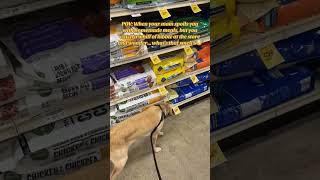 HOMEMADE DOG FOOD VS KIBBLE homemadedogfood cardib meme dogfood funnyvideo [upl. by Oneal95]