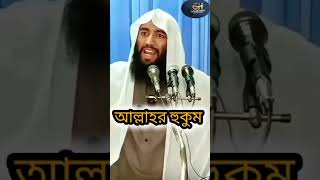 আল্লাহর হুকুম allah shortvideo shorts short ytshorts subscribe viralvideo video shortsvideo [upl. by Tiga]