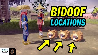 ALL Bidoof Locations Request 8 Bothersome Bidoofs Walkthrough  Pokemon Legends Arceus [upl. by Duval888]