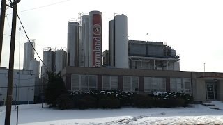 Farmland Dairies in Wallington is Closing Resulting in 325 Layoffs [upl. by Subir]