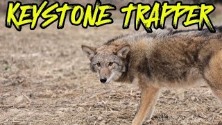 2024 Trapping Season Episode 4 Warm days but still catching a few trapping coyote [upl. by Gable]