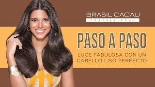 BRASIL CACAU  Tutorial Paso a Paso [upl. by Yssor271]