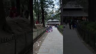 hadimba temple manali youtubeshorts hadimbatemple manali himachalpradesh travel vlog minivlog [upl. by Milena774]