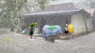 Heavy rain and strong winds in my village  Relieve insomnia and fall asleep to the sound of rain [upl. by Margarette]