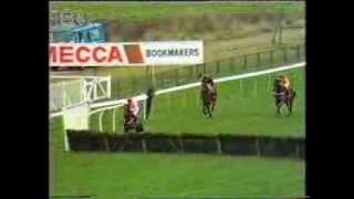 1989 Roux Restaurants Tolworth Hurdle [upl. by Ihsakat]